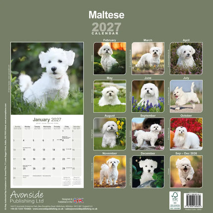 Avonside Maltezer Kalender 2027