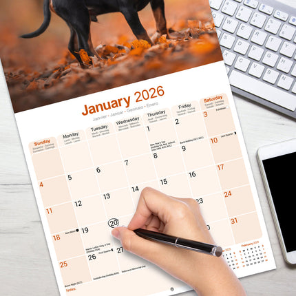 Avonside Miniatuur Pinscher Kalender 2026