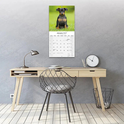Avonside Miniatuur Pinscher Kalender 2027