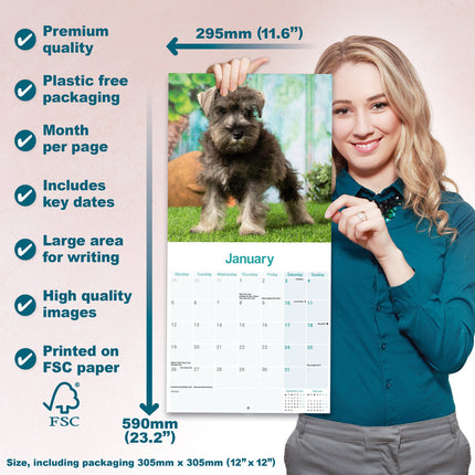 Avonside Miniatuur Schnauzer Kalender 2026