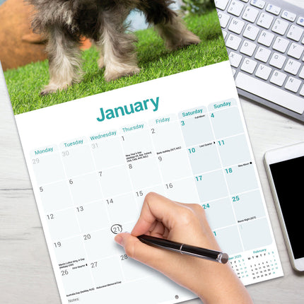 Avonside Miniatuur Schnauzer Kalender 2026