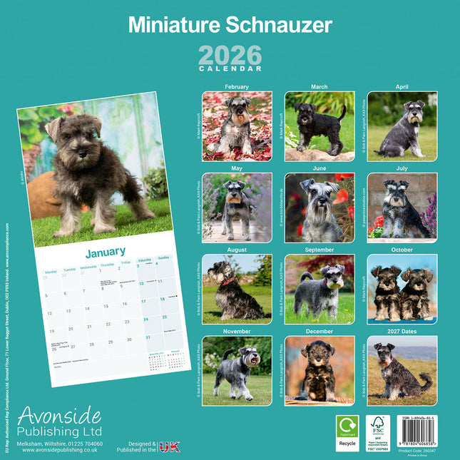 Avonside Miniatuur Schnauzer Kalender 2026