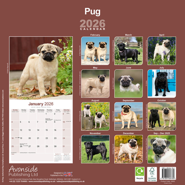 Avonside Mopshond Kalender 2026