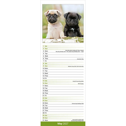 Avonside Mopshond Slimline Kalender 2027