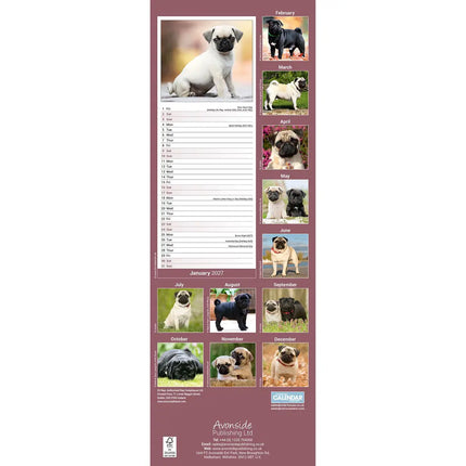 Avonside Mopshond Slimline Kalender 2027