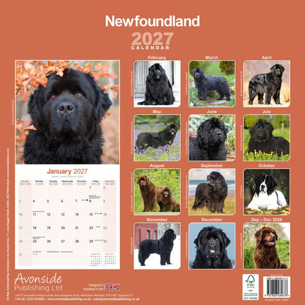 Avonside Newfoundlander Kalender 2027