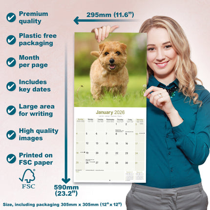Avonside Norwich en Norfolk Terrier Kalender 2026