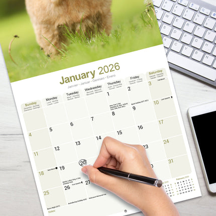 Avonside Norwich en Norfolk Terrier Kalender 2026