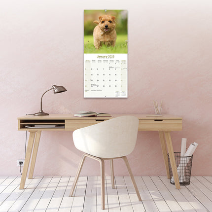 Avonside Norwich en Norfolk Terrier Kalender 2026