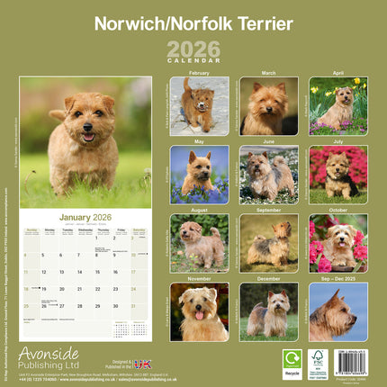 Avonside Norwich en Norfolk Terrier Kalender 2026