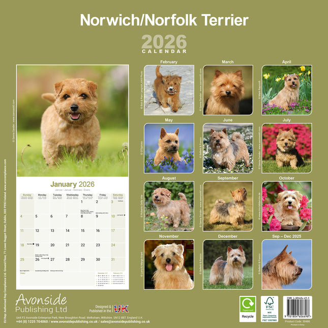 Avonside Norwich en Norfolk Terrier Kalender 2026