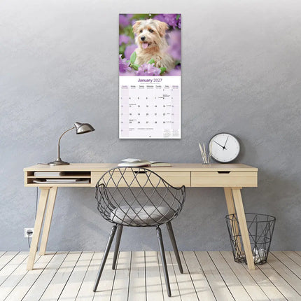 Avonside Norwich en Norfolk Terrier Kalender 2027