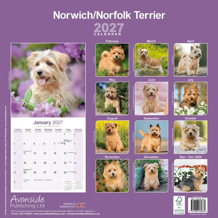 Avonside Norwich en Norfolk Terrier Kalender 2027