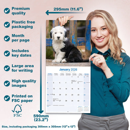 Avonside Old English Sheepdog Kalender 2026