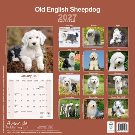 Avonside Old English Sheepdog Kalender 2027