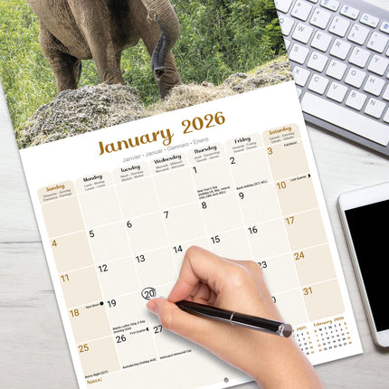 Avonside Olifanten Kalender 2026
