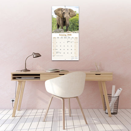 Avonside Olifanten Kalender 2026
