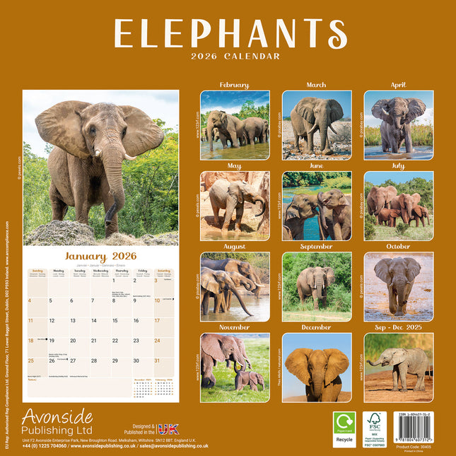 Avonside Olifanten Kalender 2026