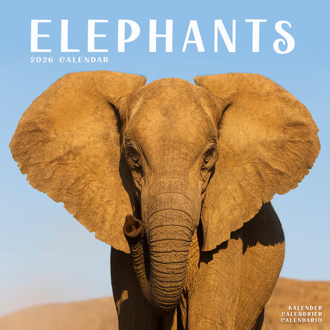 Avonside Olifanten Kalender 2026