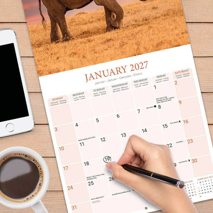 Avonside Olifanten Kalender 2027