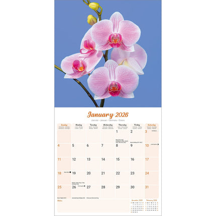 Avonside Orchidee Kalender 2026