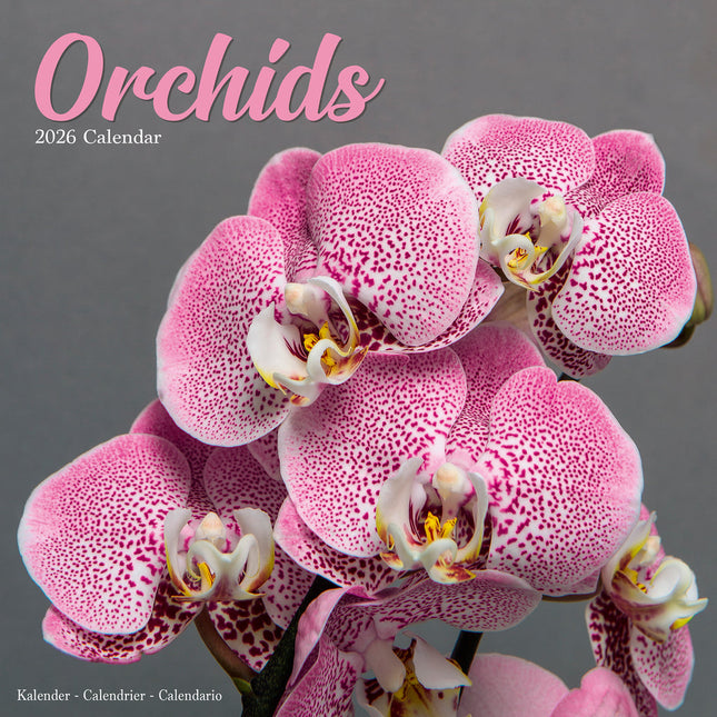 Avonside Orchidee Kalender 2026