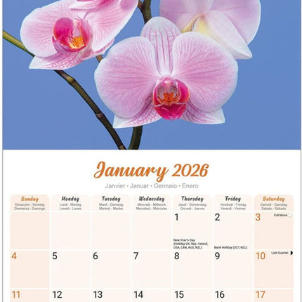 Avonside Orchidee Kalender 2026