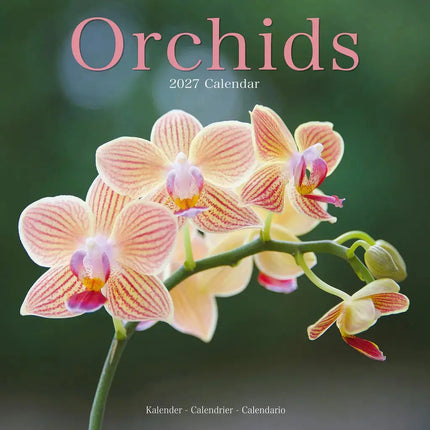 Avonside Orchidee Kalender 2027