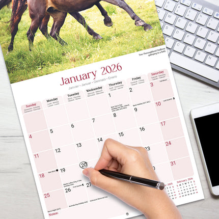 Avonside Paarden Kalender 2026