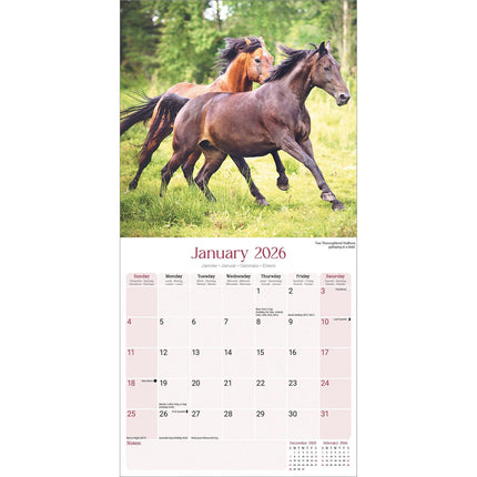 Avonside Paarden Kalender 2026