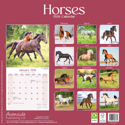 Avonside Paarden Kalender 2026