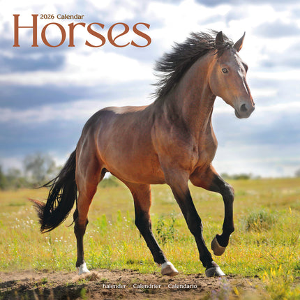 Avonside Paarden Kalender 2026