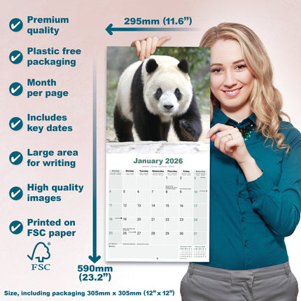 Avonside Panda Kalender 2026