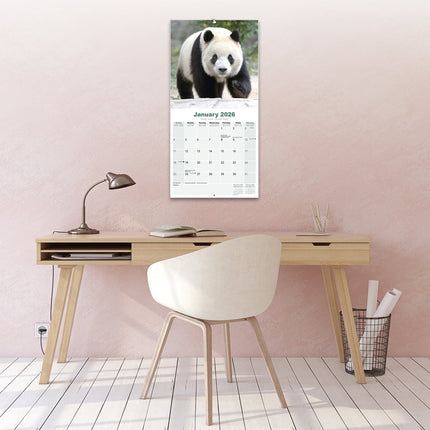 Avonside Panda Kalender 2026