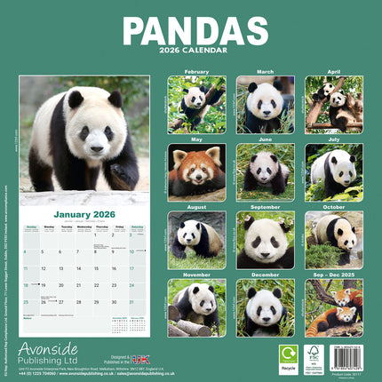Avonside Panda Kalender 2026