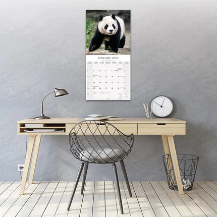 Avonside Panda Kalender 2027