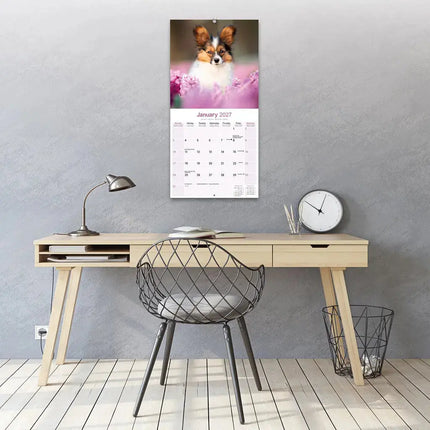 Avonside Papillon Kalender 2027