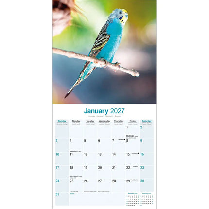 Avonside Parkieten Kalender 2027