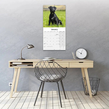 Avonside Patterdale Terrier Kalender 2027