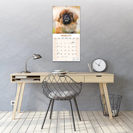 Avonside Pekingees Kalender 2027