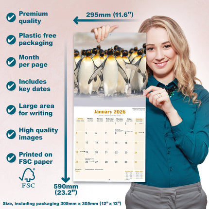 Avonside Pinguin Kalender 2026