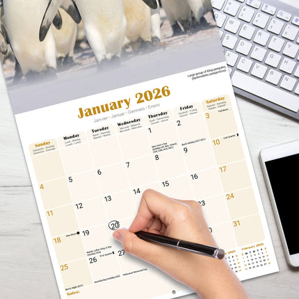 Avonside Pinguin Kalender 2026