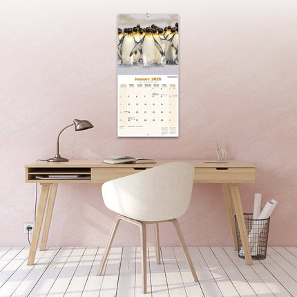 Avonside Pinguin Kalender 2026