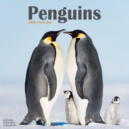 Avonside Pinguin Kalender 2026