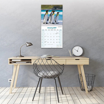 Avonside Pinguin Kalender 2027