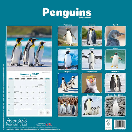 Avonside Pinguin Kalender 2027