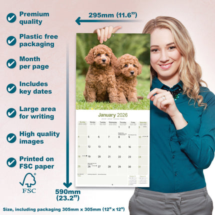 Avonside Poedel Kalender 2026