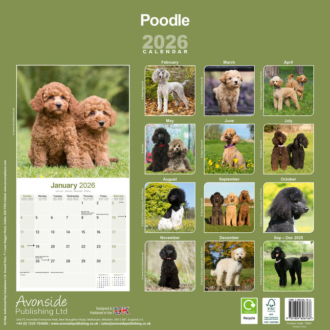 Avonside Poedel Kalender 2026