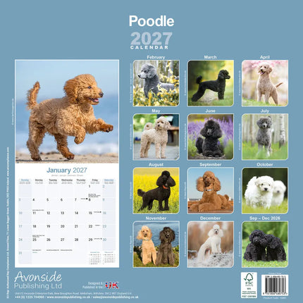 Avonside Poedel Kalender 2027