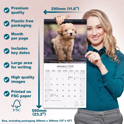 Avonside Poedel Toy en Miniatuur Kalender 2026